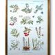 Medical plant board, printed in 1954