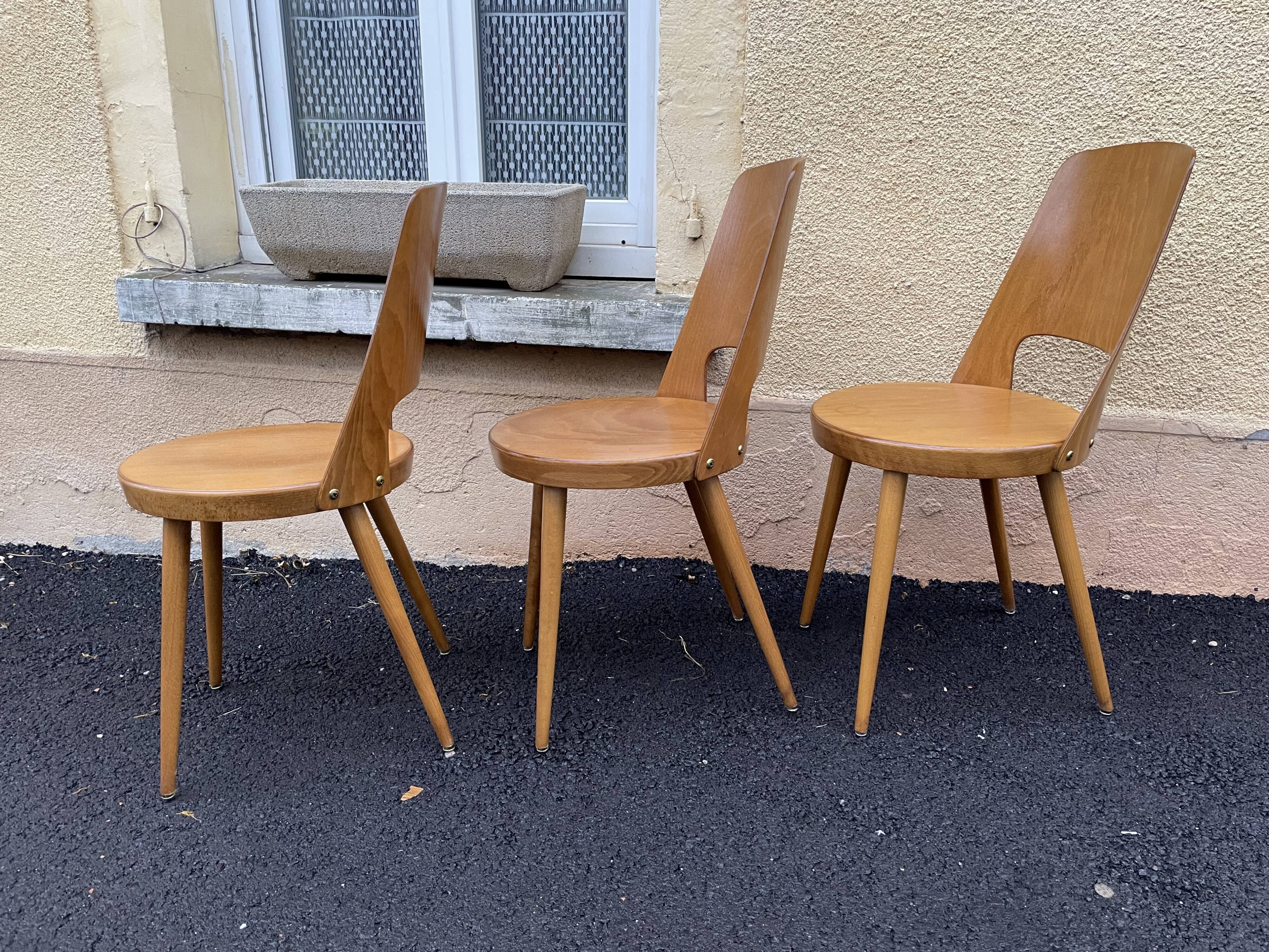 Baumann chairs "mondor"