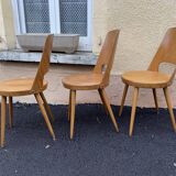 Baumann chairs "mondor"