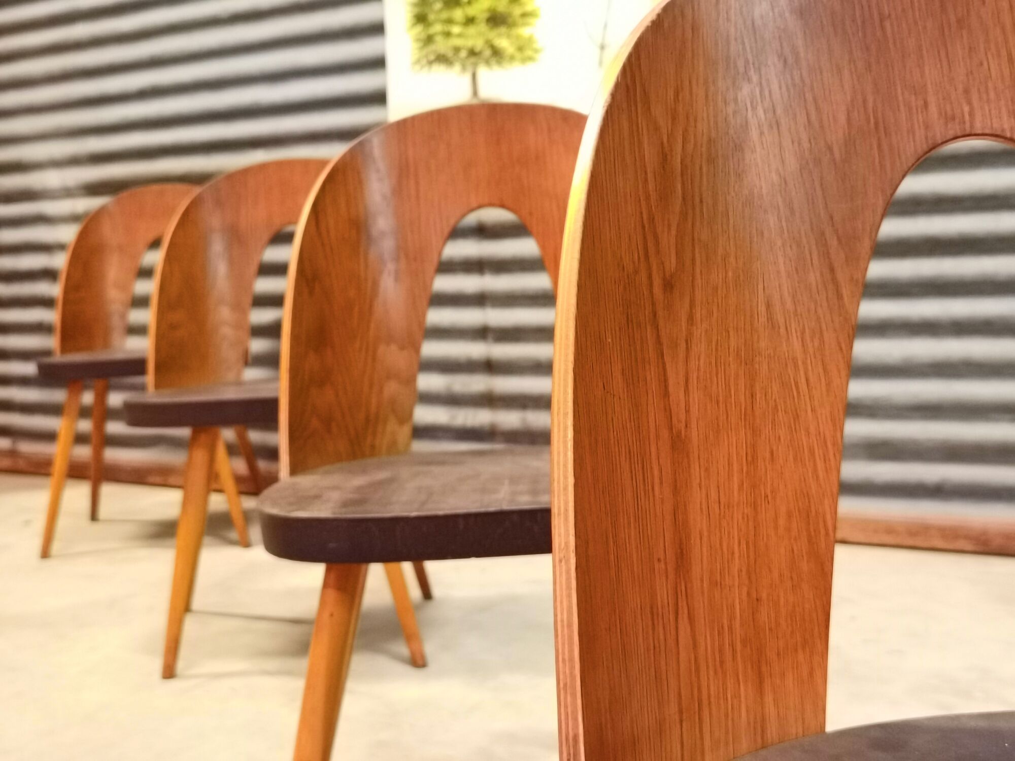 Set of 4 Antonin Suman chairs for Tatra Nabytok 1960