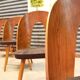 Set of 4 Antonin Suman chairs for Tatra Nabytok 1960