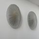 Pair of vintage sandblasted glass wall lights, France 1970s