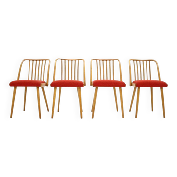 Set of four dining chairs by Antonín Šuman, 1960s