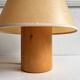 Lamp pin 1970