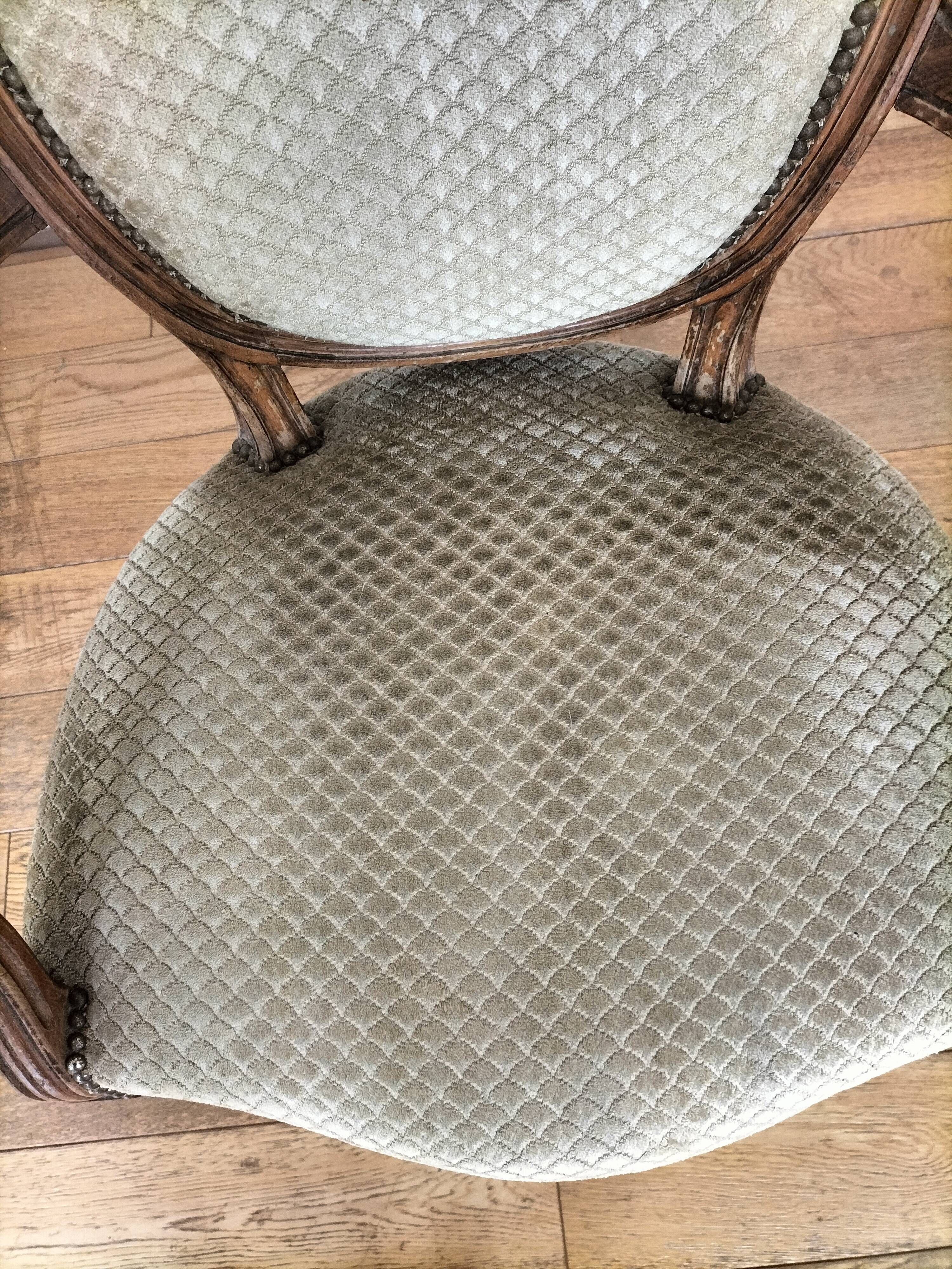 Fauteuils médaillon style Louis XVI