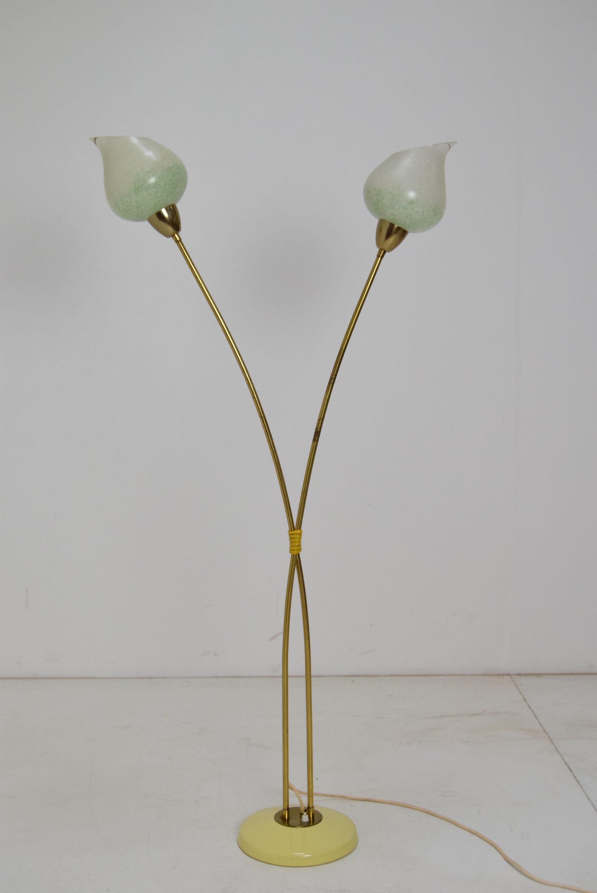 Mid-century Floor Lamp by  Kamenicky Senov,1950‘s.