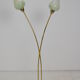 Mid-century Floor Lamp by  Kamenicky Senov,1950‘s.