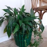 Pot st clement cover