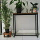 Lobi plant tripod