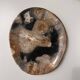 Large empty pocket or dish in petrified wood