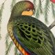 Early lithograph gould & richter