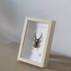 Tableau insecte brodé à la main (pièce unique)