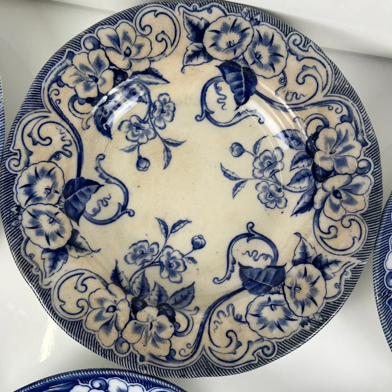 Set of 6 deep plates in ironstone "Flora" – Creil et Montereau, 19th century, blue