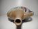 Vase soliflore in glazed ceramic earthenware vintage contemporary art 20th century