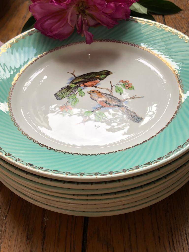 Set of 8 flat plates from the 50s-60s, turquoise rim and bird pattern.