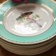 Set of 8 flat plates from the 50s-60s, turquoise rim and bird pattern.