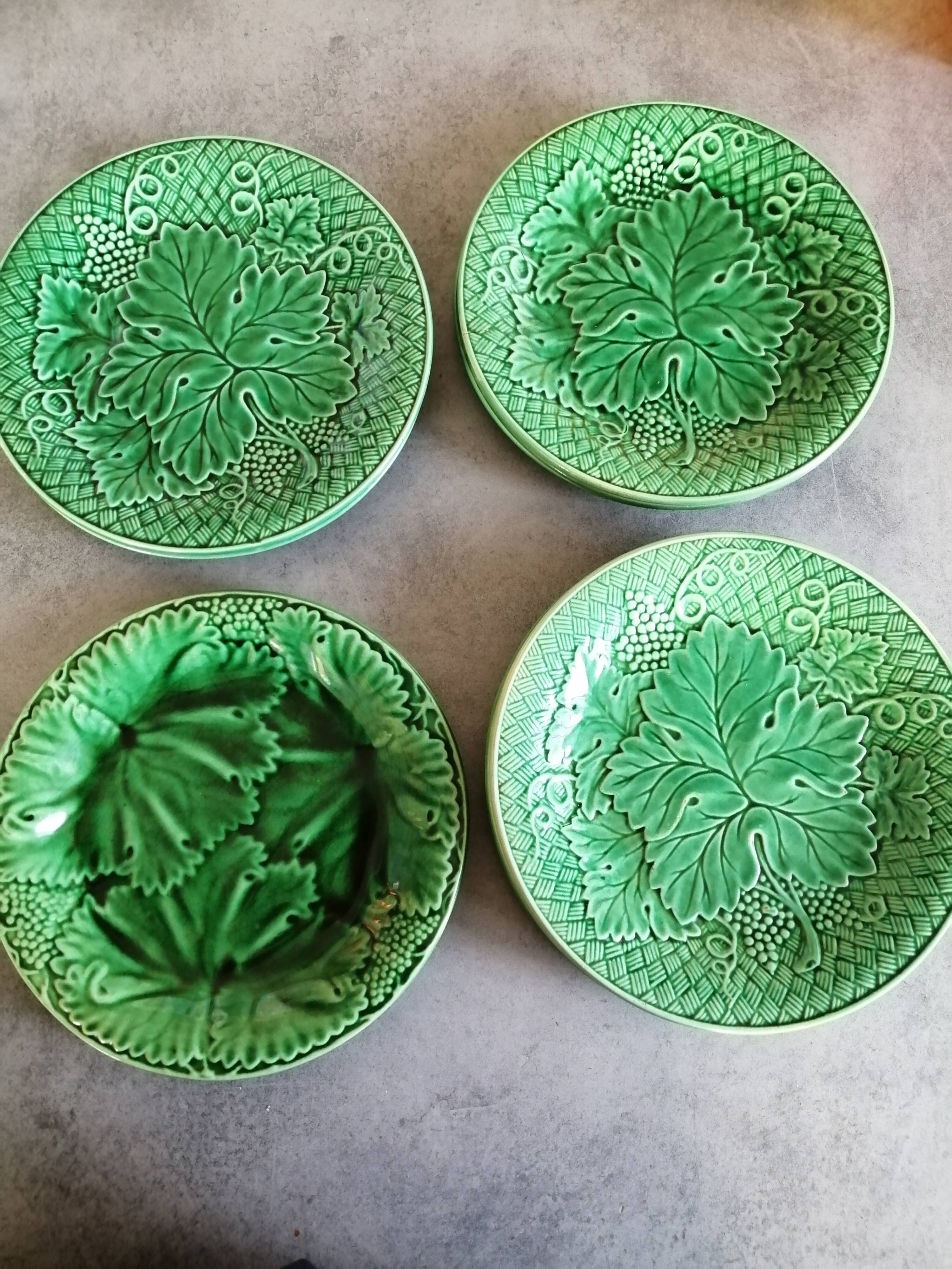 Set of 2 dessert plates, or salins slurry cheese, green,