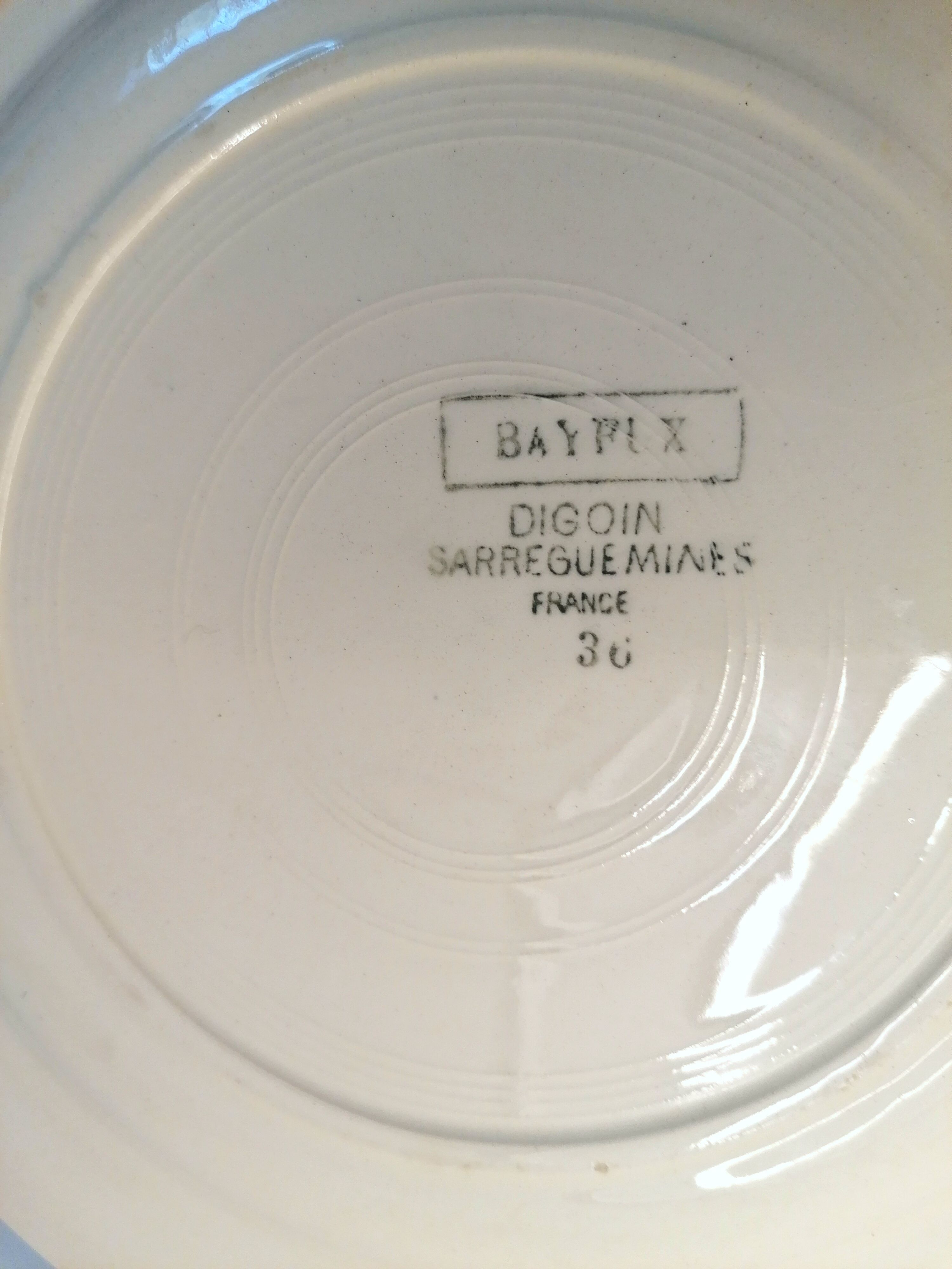 10 flat plates in Earthenware Digoin Bayeux Model, mountain chalet / naïve