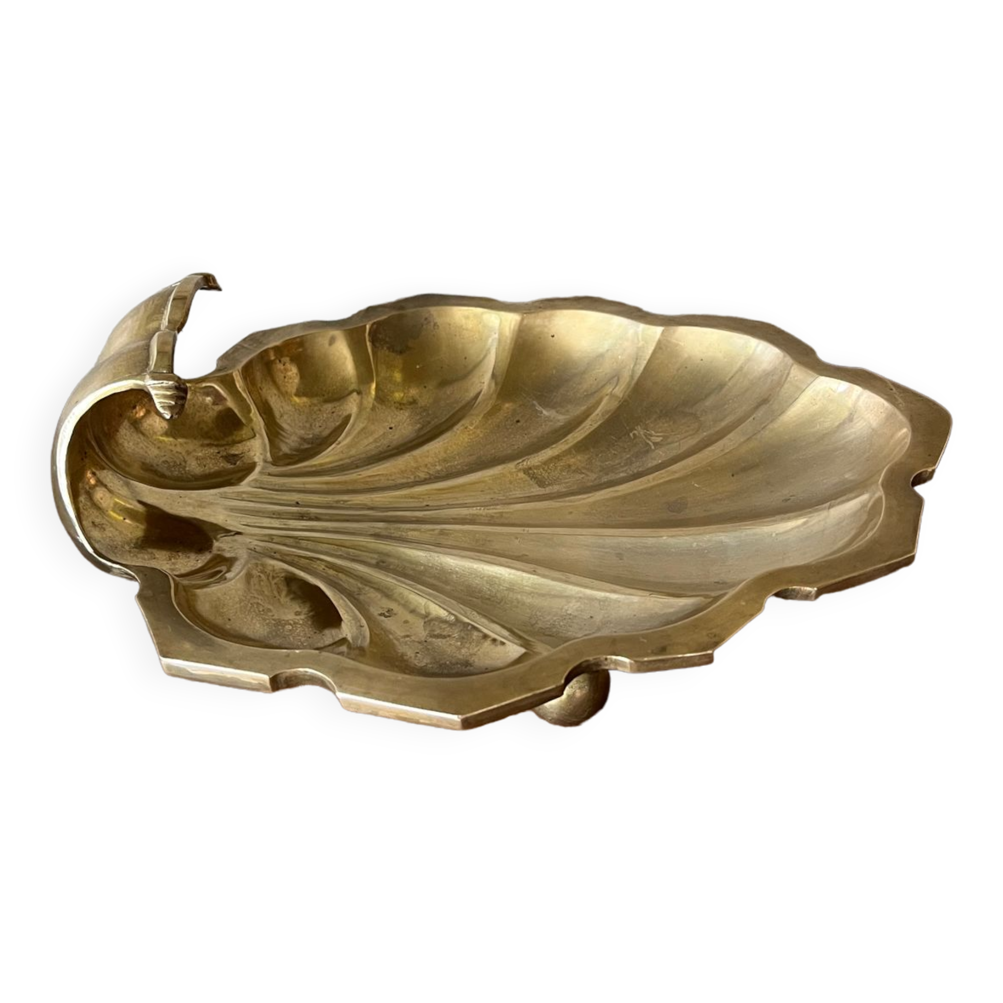 Empty pocket scallop in brass from the 50s