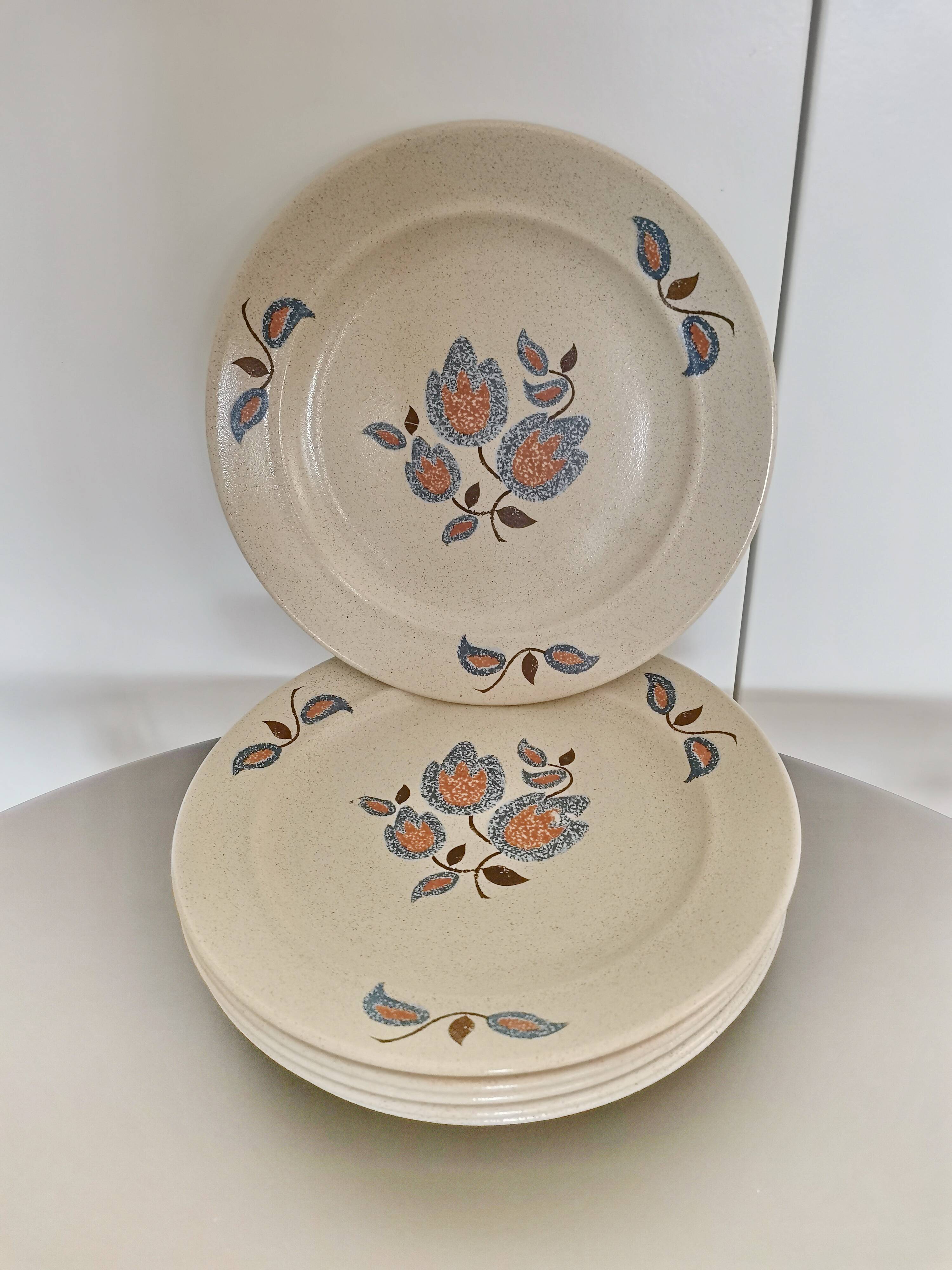 20 plates + 1 faience de saint amand dish sologne collection