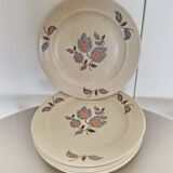 20 assiettes + 1 plat faience de saint amand collection sologne