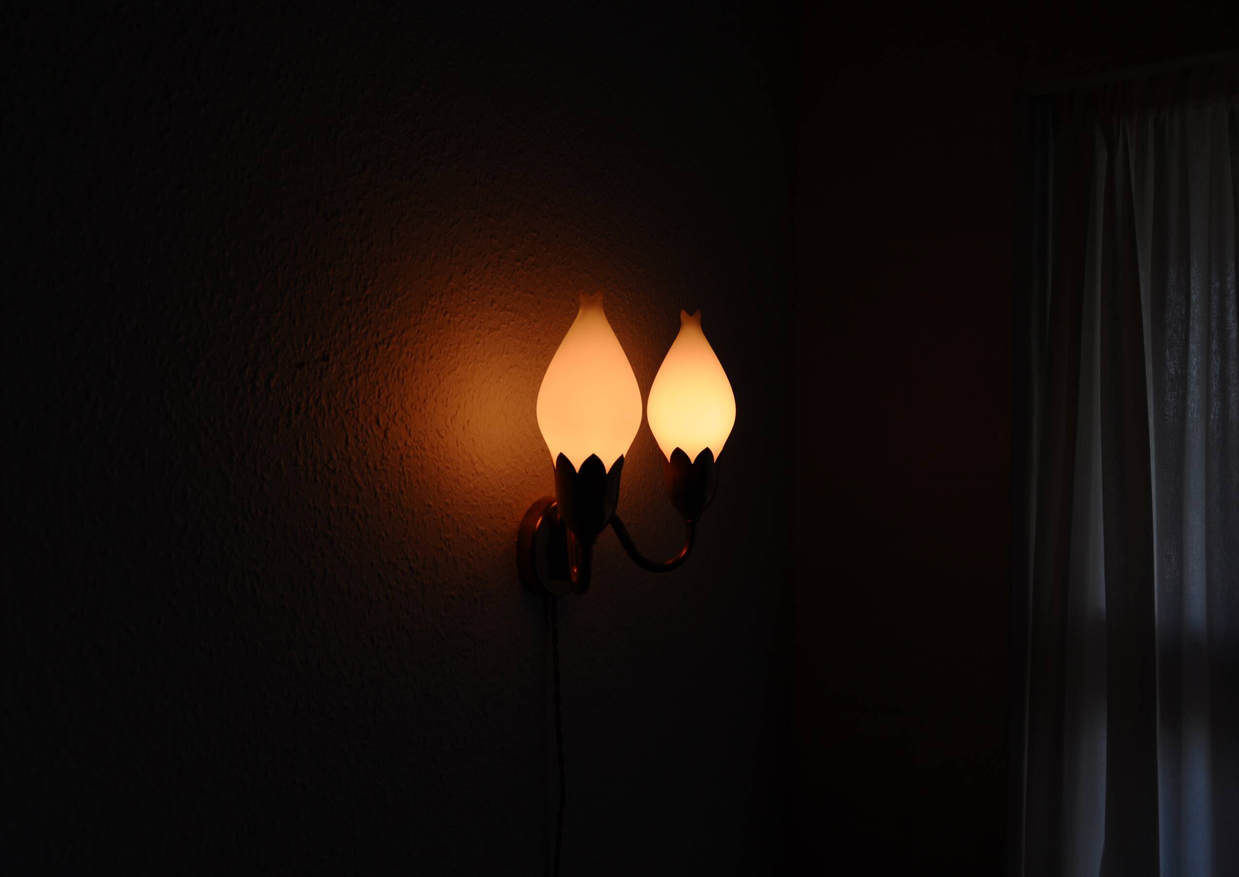 Fog & Mørup 2-Arm Brass and Opaline Glass Tulip Wall Lamp