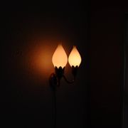 Fog & Mørup 2-Arm Brass and Opaline Glass Tulip Wall Lamp