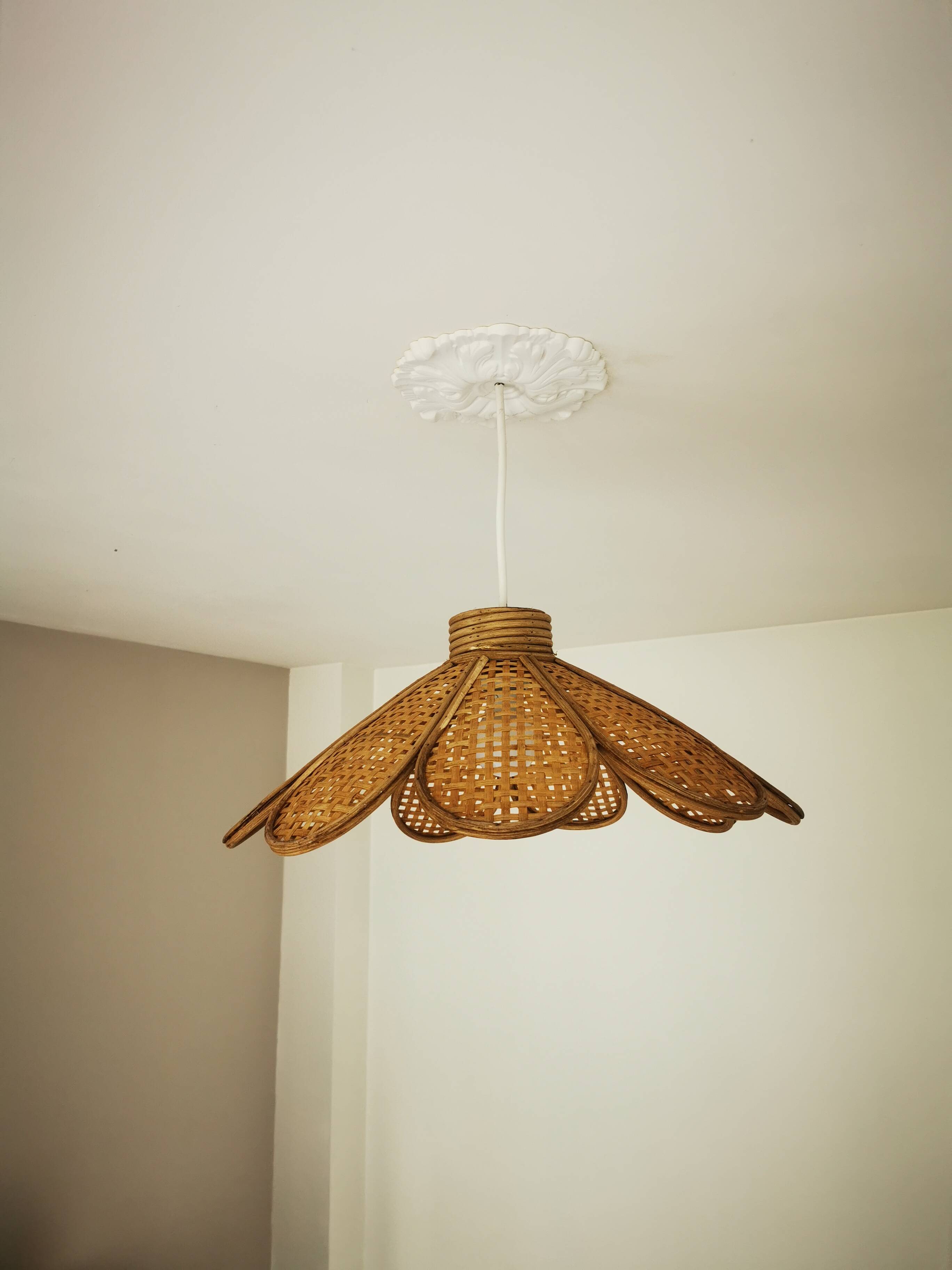 Bamboo rattan suspension and canning