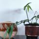 Vintage round vase in artisanal stoneware – Brutalist Design