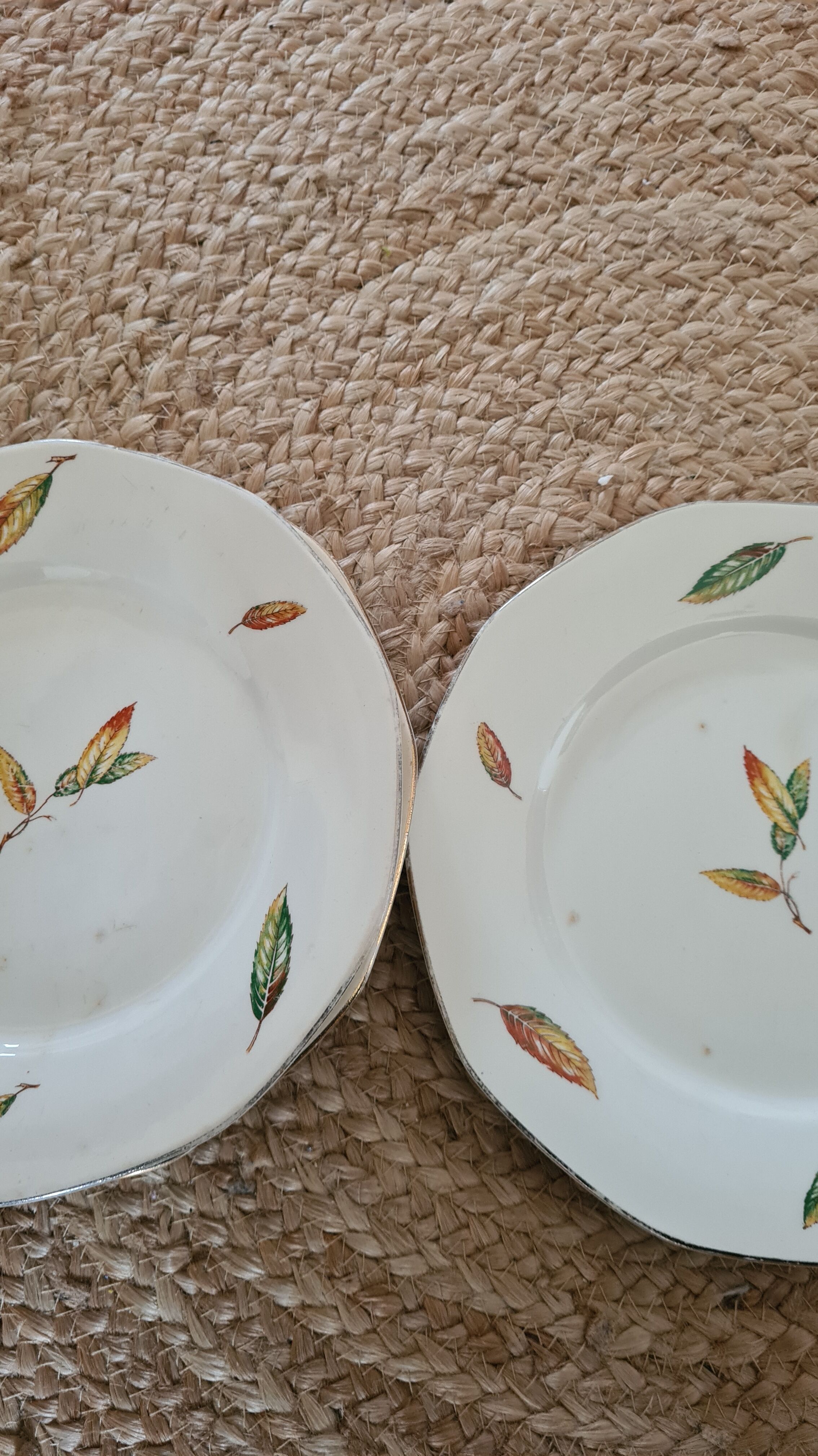 Flat plates opaque porcelain Digoin