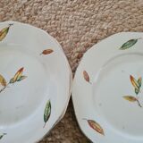 Flat plates opaque porcelain Digoin