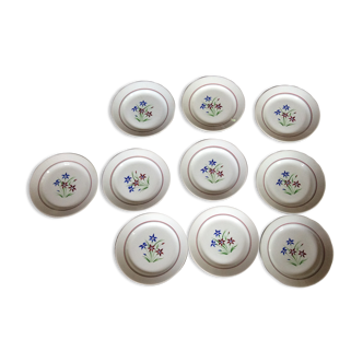 Set of 10 flat plates