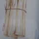 6 porcelain asparagus plates signed L'Hirondelle