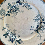 Plat St Amand Acacia