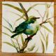 Housses de coussin en lin "oiseaux" Samantha & Emma