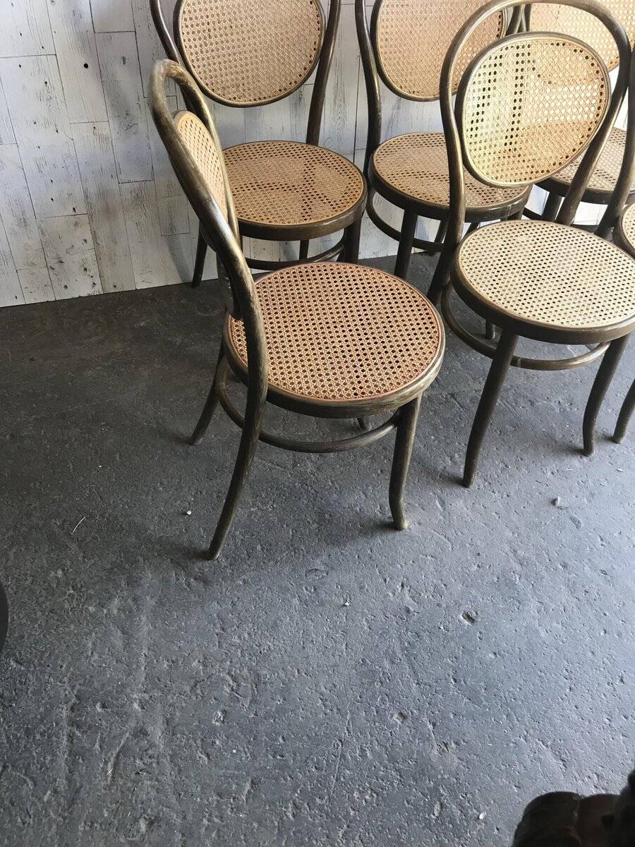 Set of 6 brown bistro chairs in beech with natural cane seat, Germany 1960s.