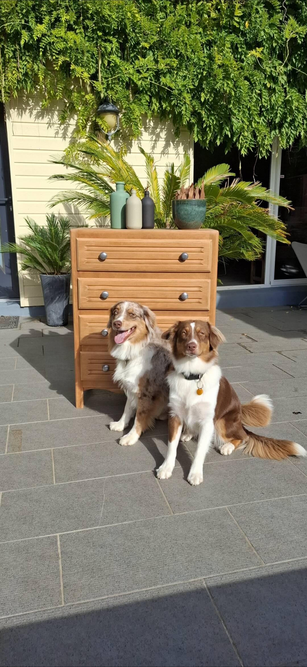 Renovated vintage chest of drawers