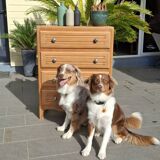 Renovated vintage chest of drawers