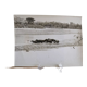 Anonymous silver photo hippopotamus africa circa 1970
