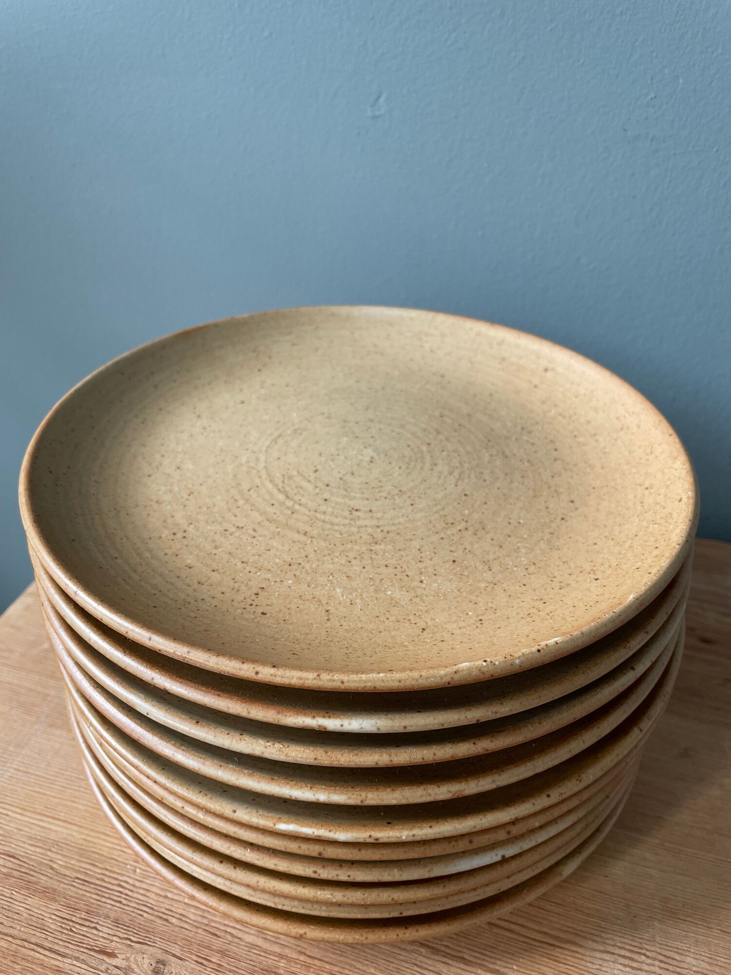 Set of 10 small vintage plates in Stoneware CNP Village France