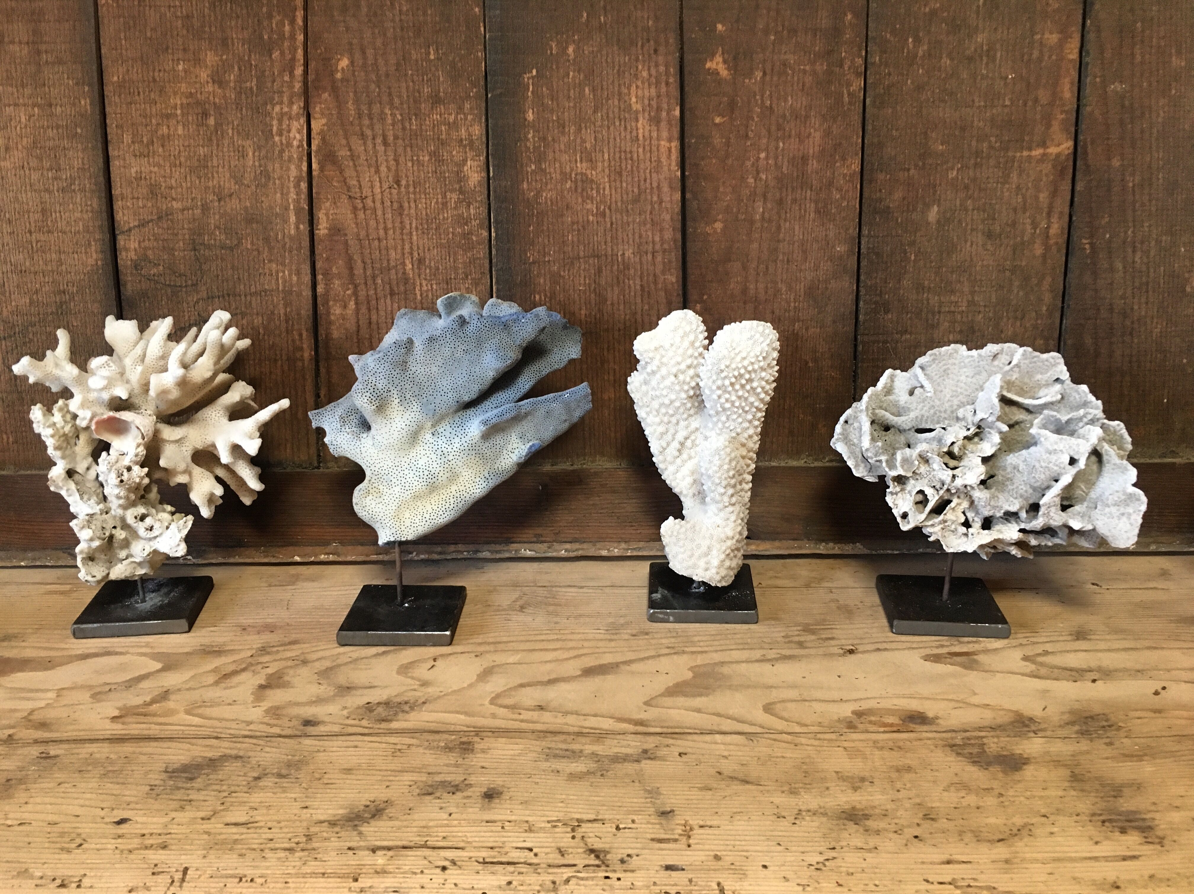 Coral on plinth