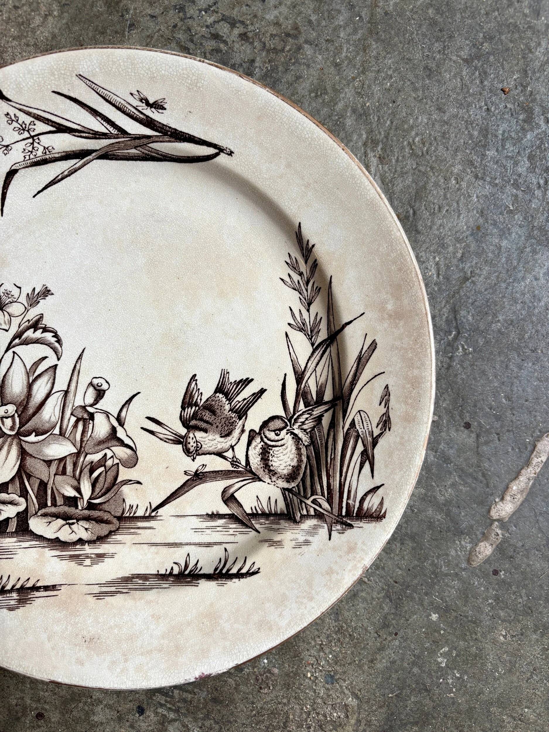 Assiette plate Tunstall en terre de fer anglaise marron et dorée, service "Amazon" vers 1880