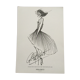 Nina Ricci: fashion illustration of the 1990s