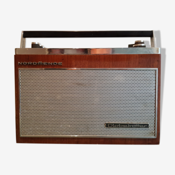 Standard radio Globetrotter tn 6000