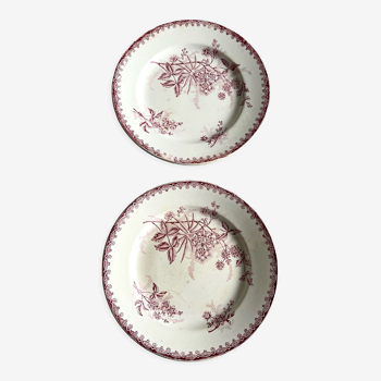 2 flat plates Margot