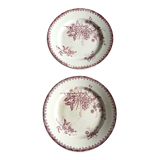 2 flat plates Margot