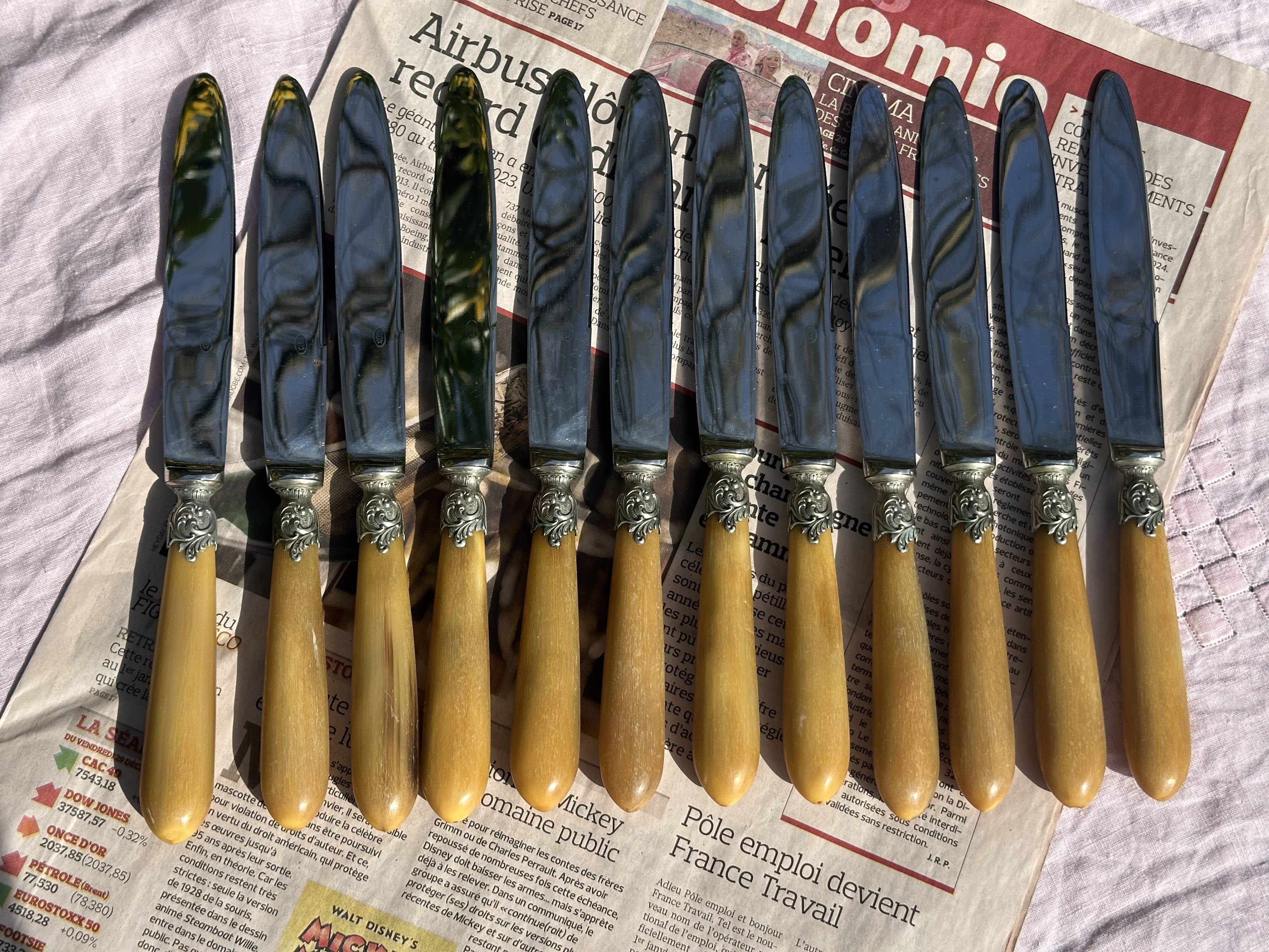 Set of 12 Antique Art Nouveau Table Knives - Tableware