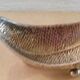 Middle of the table, ashtray in silver metal Valenti made in Spain
