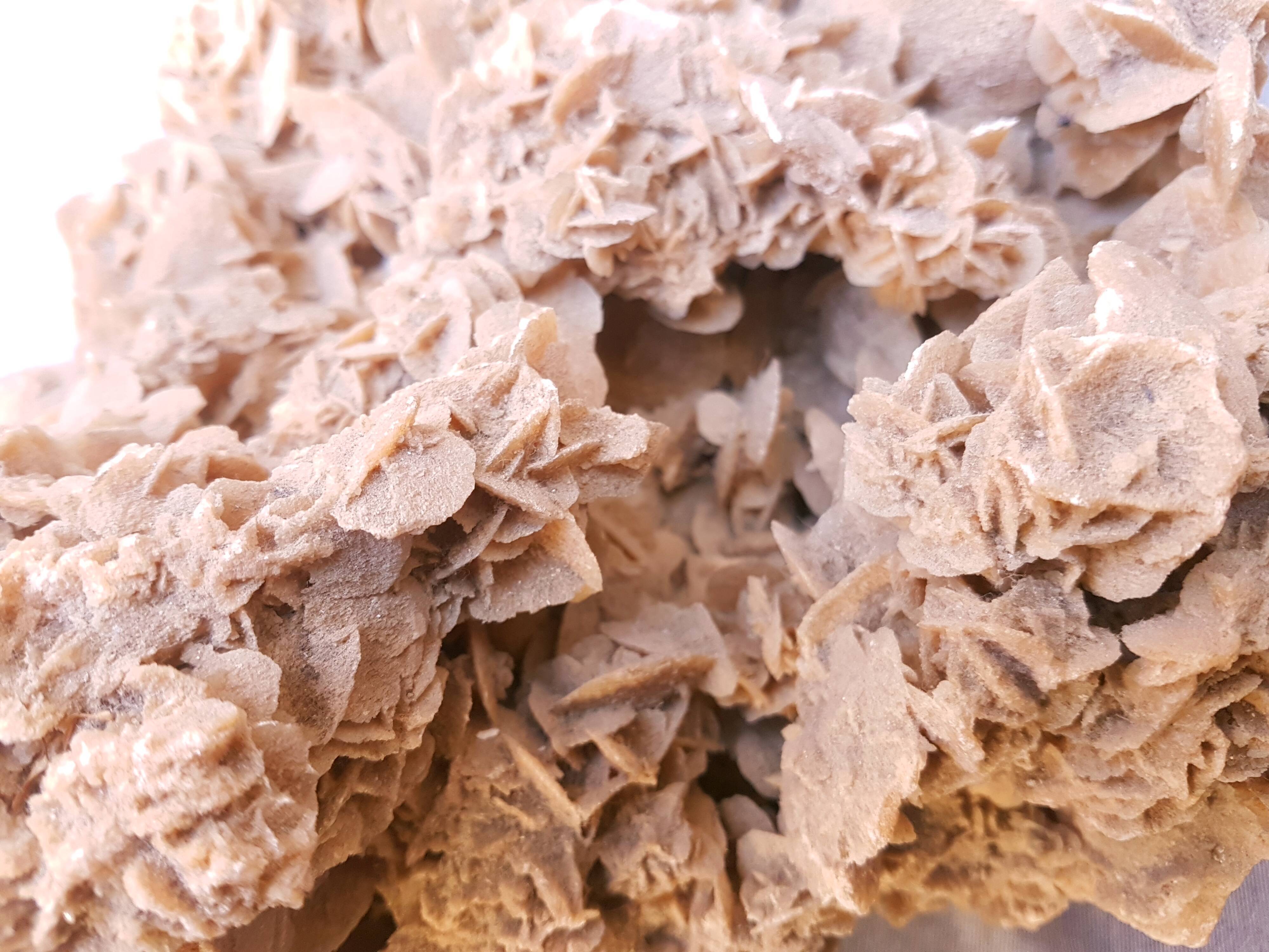 Rose des sables du désert du Sahara | Selency