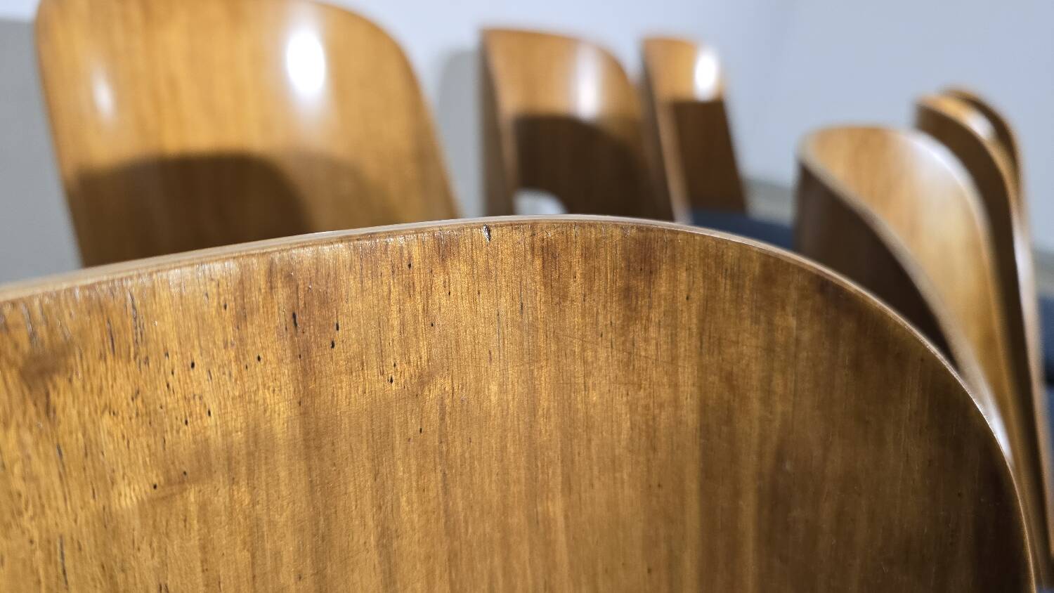 Dining Chairs by Oswald Haerdtl, 1950s, Set of 8